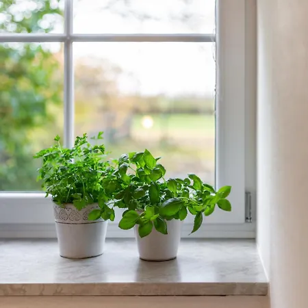 Marquardt Sonneneck Апартаменты Wenkendorf